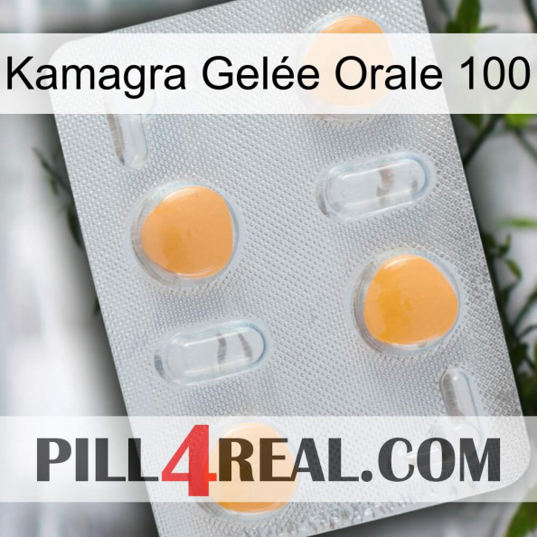 Kamagra Gelée Orale 100 24